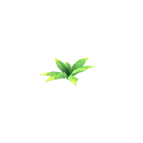 Plant 2